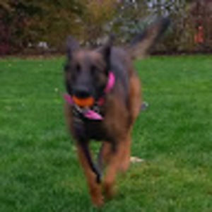 Meet your Posher, Linda